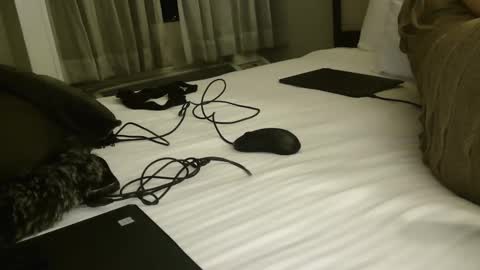 CUMONURFACE online show from February 12, 2025, 9:52 am