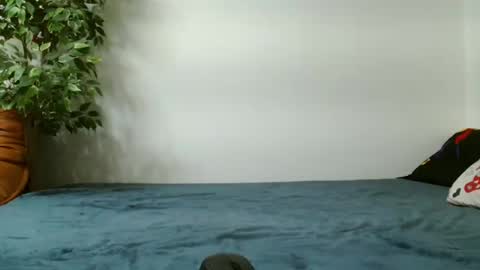 Eva and Jhony online show from February 28, 2025, 5:48 pm