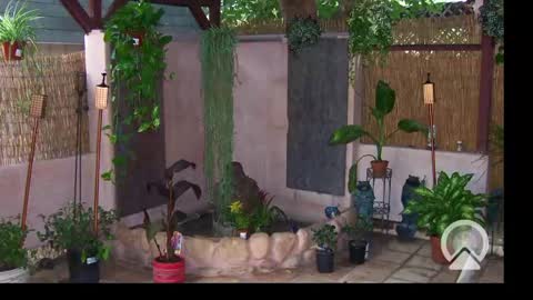 Sophiestar online show from February 24, 2025, 10:26 am