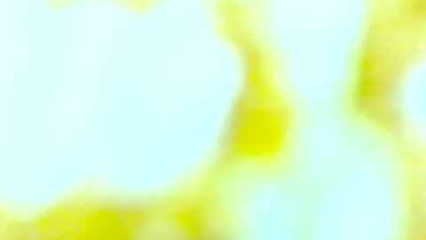 Edging4U online show from October 13, 2025, 9:48 pm