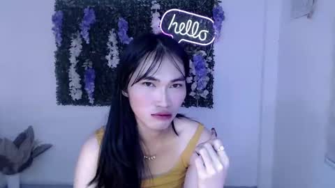    online show from February 24, 2025, 2:19 am
