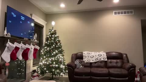 yourstrulylivy online show from December 11, 2024, 1:26 am