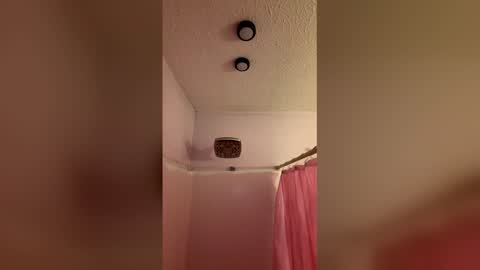 Snapshot of yourthickgingergoddess chatting on January 5, 2026, 9:29 pm yourthickgingergoddess online show from January 5, 2026, 9:29 pm