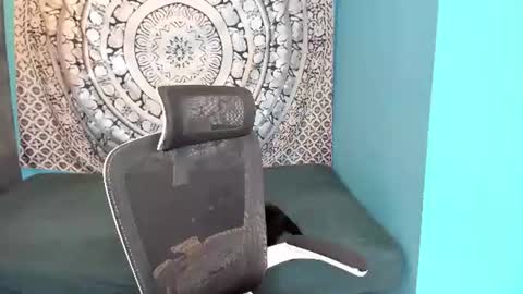 YourVenus00 -Follow my OF online show from July 2, 2026, 11:38 am