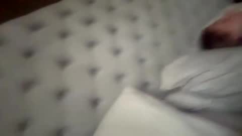 You want us 69 online show from September 14, 2025, 5:50 am