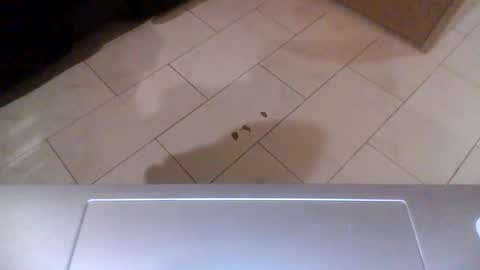 yungnhungg89 online show from January 18, 2025, 2:36 am