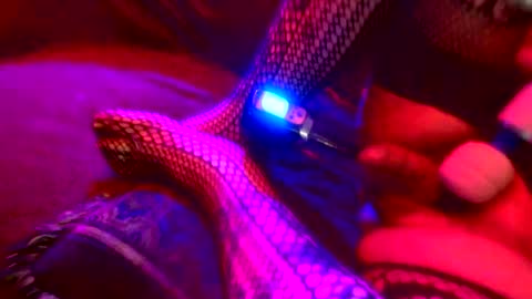 Snapshot of z0rl0c chatting on October 4, 2025, 5:38 am Z0RL0C online show from October 4, 2025, 5:38 am