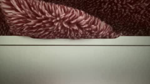 z95141 online show from October 22, 2025, 3:56 pm