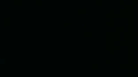 Zara3 online show from February 25, 2025, 3:52 am