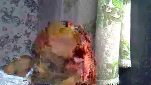 zarinamarlin online show from March 18, 2026, 9:12 am