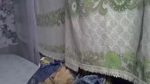 zarinamarlin online show from May 5, 2026, 6:21 am