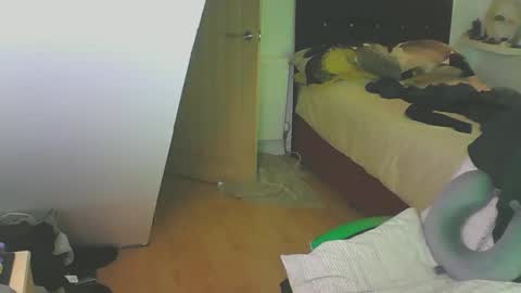 Snapshot of zedbooy chatting on December 28, 2024, 4:09 pm Zed online show from December 28, 2024, 4:09 pm