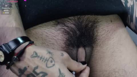 Zeldris online show from February 15, 2025, 3:50 pm