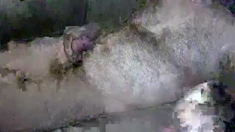 zepincam online show from October 13, 2025, 5:18 am