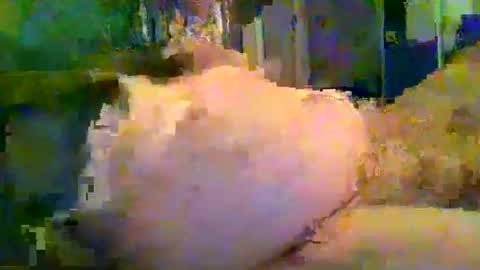 Snapshot of zero0zero123 chatting on September 27, 2025, 9:53 pm zero0zero123 online show from September 27, 2025, 9:53 pm