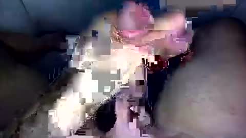 zezin1 online show from September 19, 2025, 3:30 am