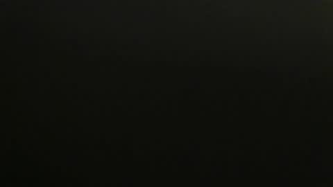 ZFanatic online show from February 1, 2025, 4:54 pm