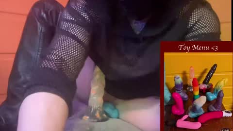 Snapshot of ziggystarpup chatting on January 6, 2025, 4:36 am Ziggy online show from January 6, 2025, 4:36 am