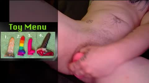 Snapshot of ziggystarpup chatting on March 29, 2026, 3:50 am Ziggy online show from March 29, 2026, 3:50 am