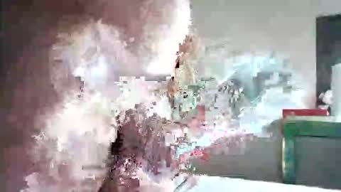 Snapshot of zogum chatting on November 1, 2025, 11:29 pm zogum online show from November 1, 2025, 11:29 pm