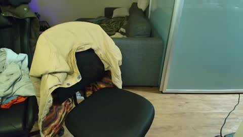 Zuko online show from March 26, 2026, 11:38 am