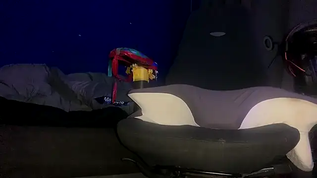 ZandersaSimp online show from December 17, 2025, 5:08 pm