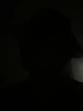 Lia flowers online show from December 14, 2024, 11:01 pm