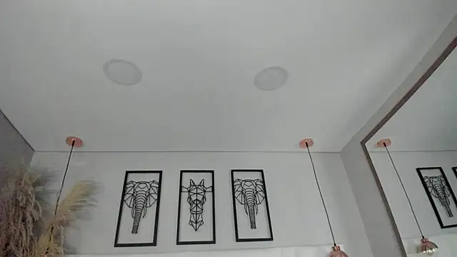 Rebeca jones online show from November 26, 2025, 12:17 pm