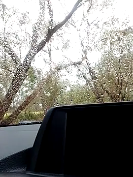 Snapshot of stiffandlubed@xh chatting on October 21, 2025, 9:04 pm stiffandlubedxh online show from October 21, 2025, 9:04 pm