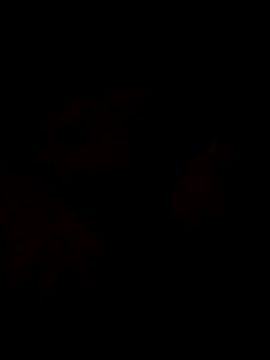 Snapshot of Sanny212 chatting on December 9, 2024, 12:40 pm Sanny212 online show from December 9, 2024, 12:40 pm