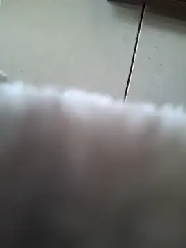 biboii online show from February 8, 2025, 3:00 pm