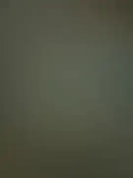 Snapshot of Sam_Sara chatting on February 19, 2026, 6:59 pm Sam Sara online show from February 19, 2026, 6:59 pm