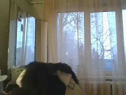 ShawnaAdams online show from December 15, 2024, 1:54 pm