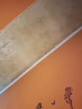 ducicsajsziii online show from December 19, 2025, 12:45 pm