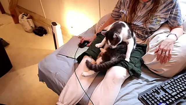 xxpixeyxx online show from November 29, 2025, 4:10 pm