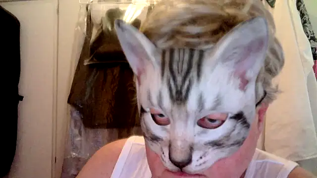 Snapshot of Sigorius chatting on July 12, 2026, 2:46 am Sigorius online show from July 12, 2026, 2:46 am