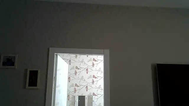 ZarinaSwift online show from June 17, 2026, 9:45 am
