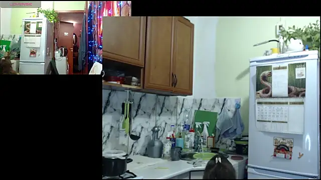 Sakura Green online show from December 22, 2025, 3:31 pm