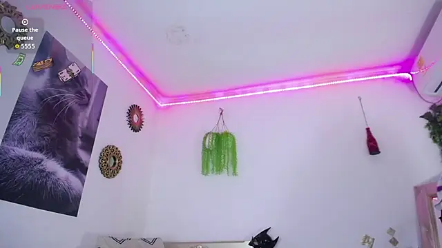 huge armound online show from March 8, 2026, 7:39 pm