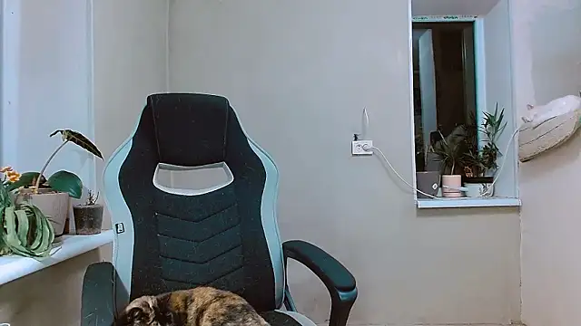 Snapshot of RosaJil chatting on November 1, 2025, 3:58 pm RosaJil online show from November 1, 2025, 3:58 pm