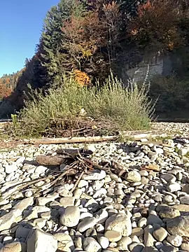 artXhibitor online show from October 18, 2025, 2:29 pm