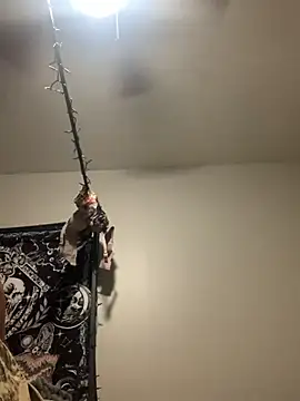 KittyLoroi online show from November 8, 2025, 9:20 am