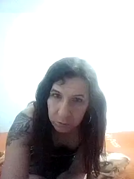 Cameron puppy online show from February 1, 2025, 9:21 am