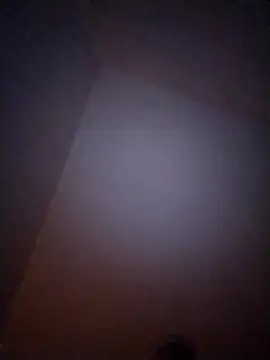 Treemandude online show from January 6, 2026, 10:08 am