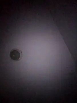 Treemandude online show from January 15, 2026, 11:04 am