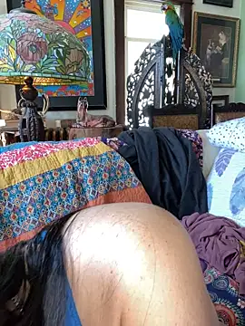 sexyasscougar online show from September 30, 2025, 4:01 pm