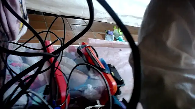 Malaya88 online show from March 23, 2026, 2:48 am