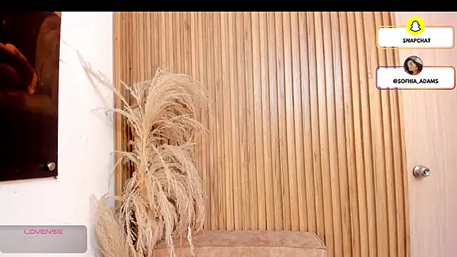 sofhiaa adaams online show from February 22, 2026, 5:11 pm