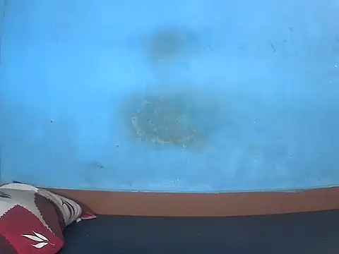 kannamu99 online show from November 17, 2025, 4:29 am