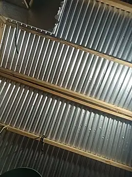 Babyboyy803 online show from February 27, 2026, 10:48 am